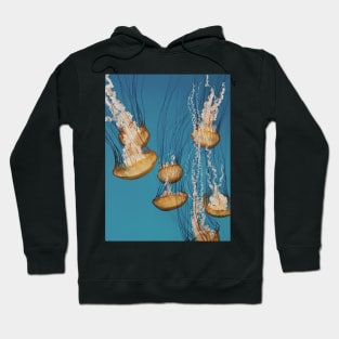 Jellies Hoodie